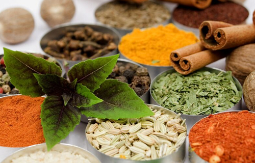 Ayurveda Ernhrung